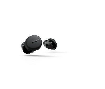 Sony True Wireless Earbuds Supply