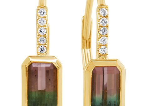 14K Yellow Gold Bi-Color Tourmaline Diamond Earrings For Discount