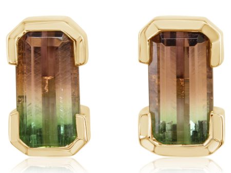 14K Yellow Gold Bi-Color Tourmaline Earrings on Sale